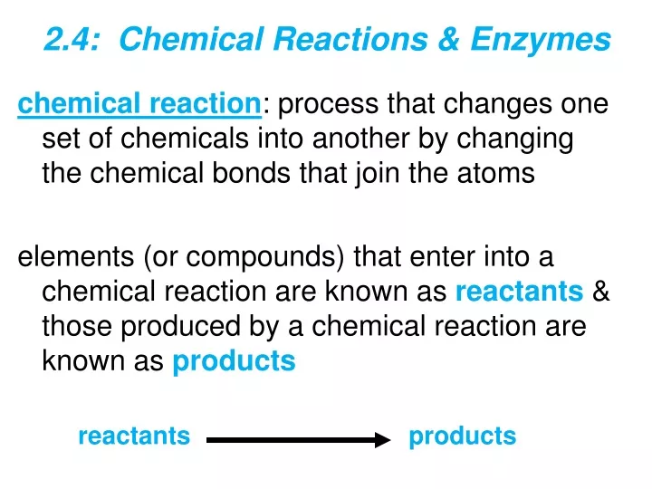 2 4 chemical reactions enzymes