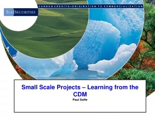 Small Scale Projects – Learning from the CDM Paul Soffe