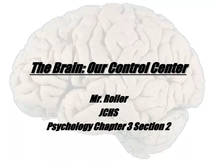 the brain our control center