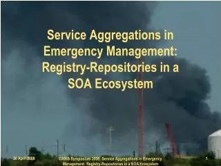 Service Aggregations in  Emergency Management: Registry-Repositories in a  SOA Ecosystem