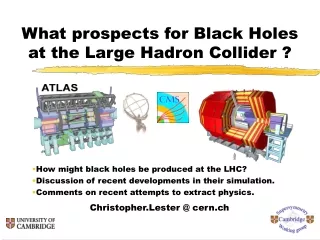 What prospects for Black Holes at the Large Hadron Collider ?
