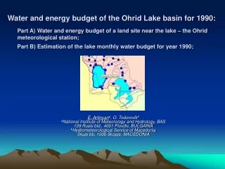 Water and energy budget of the Ohrid Lake basin for 1990: