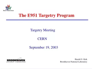 The E951 Targetry Program