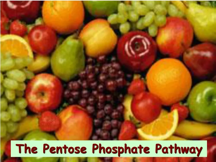 the pentose phosphate pathway