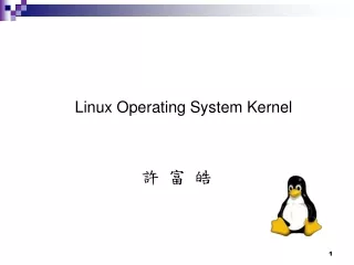 Linux Operating System Kernel  許 富 皓