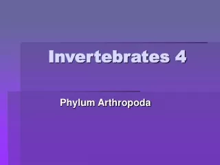 Invertebrates 4