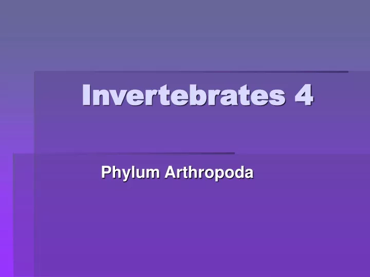 invertebrates 4