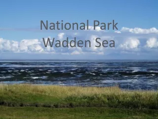 National Park  Wadden Sea