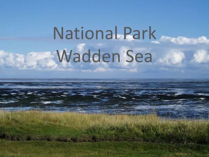 national park wadden sea