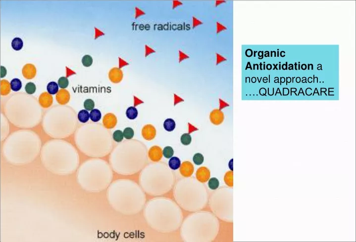 organic antioxidation a novel approach quadracare