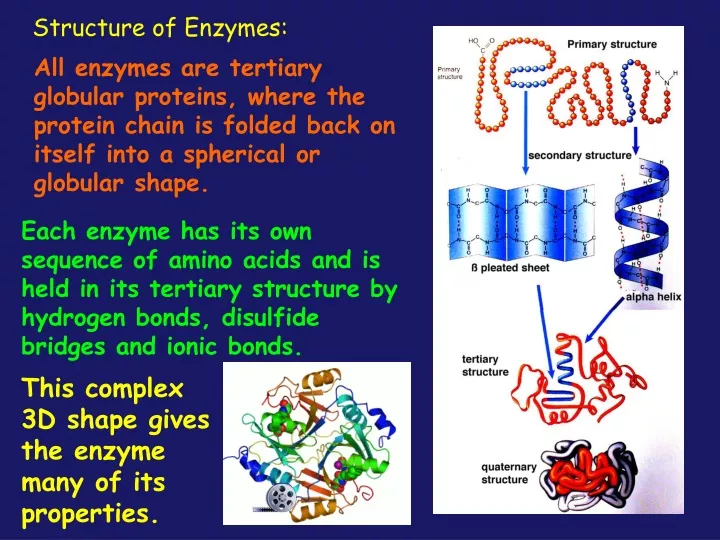 structure of enzymes
