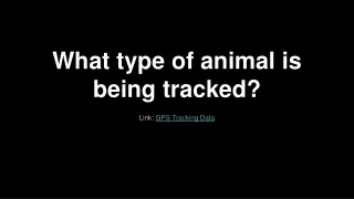 What type of animal is being tracked?