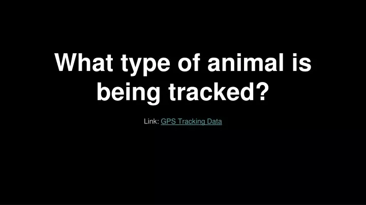 what type of animal is being tracked
