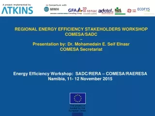 Energy Efficiency Workshop:  SADC/RERA – COMESA/RAERESA Namibia, 11- 12 November  2015