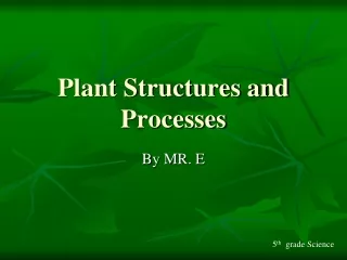 Plant Structures and Processes