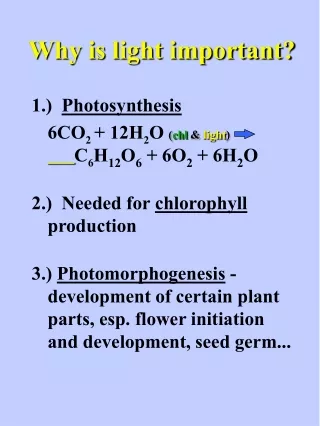 Why is light important?