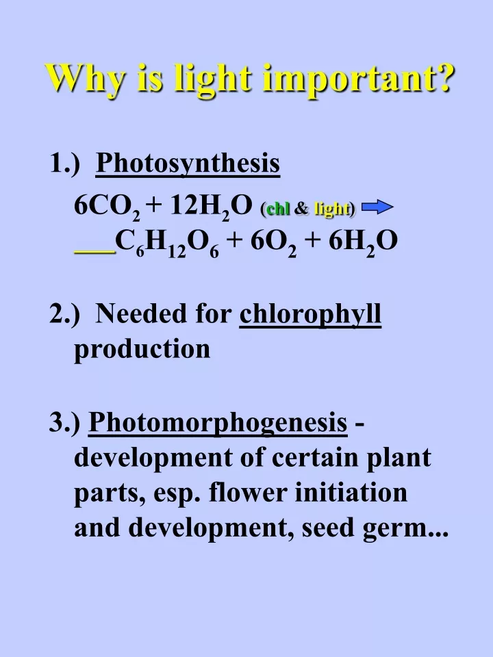 why is light important