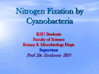 Nitrogen Fixation by  Cyanobacteria