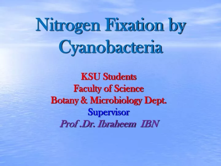 nitrogen fixation by cyanobacteria