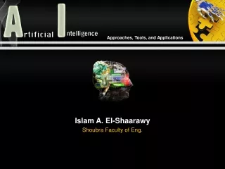 Islam A. El-Shaarawy