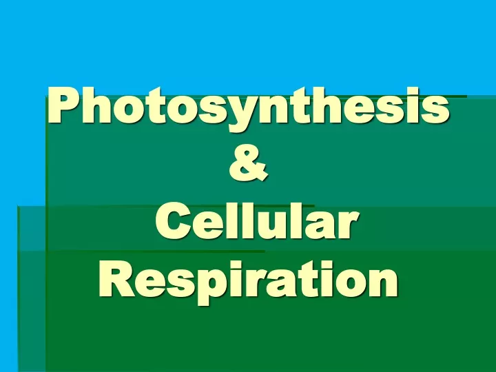 photosynthesis cellular respiration