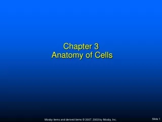 Chapter 3  Anatomy of Cells