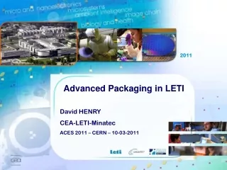 David HENRY CEA-LETI-Minatec ACES 2011 – CERN – 10-03-2011