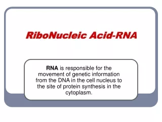 RiboNucleic Acid -RNA