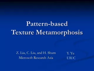 Pattern-based  Texture Metamorphosis