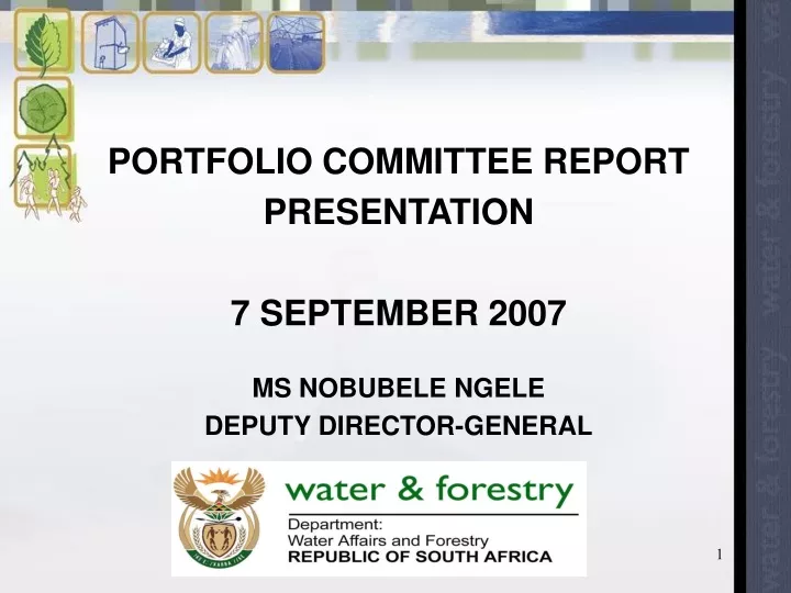 portfolio committee report presentation