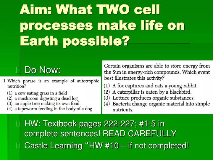 aim what two cell processes make life on earth possible