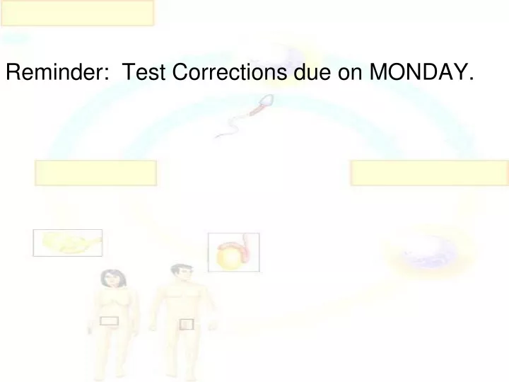 reminder test corrections due on monday