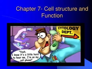 Chapter 7- Cell structure and Function