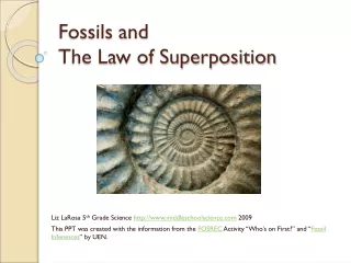Fossils and  The Law of Superposition