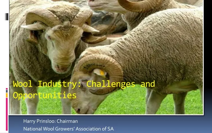 wool industry challenges and opportunities