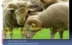 Unleashing the Potential of South Africa's Wool Industry - slide 1