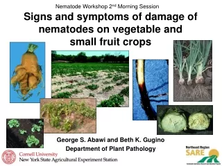 Signs and symptoms of damage of nematodes on vegetable and  small fruit crops