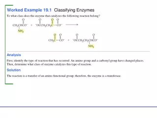 Worked Example 19.1   Classifying Enzymes