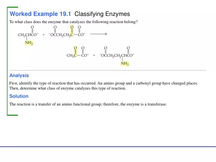 worked example 19 1 classifying enzymes