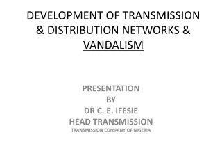 DEVELOPMENT OF TRANSMISSION  &amp; DISTRIBUTION NETWORKS &amp;  VANDALISM