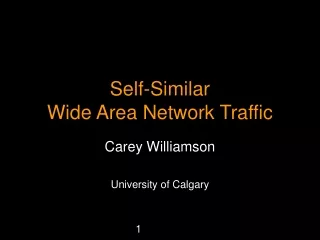Self-Similar  Wide Area Network Traffic