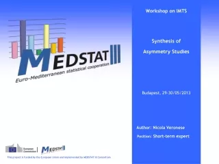 Workshop on IMTS Synthesis of  Asymmetry Studies Budapest, 29-30/05/2013 Author: Nicola Veronese