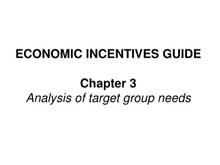 ECONOMIC INCENTIVES GUIDE Chapter 3 Analysis of target group needs