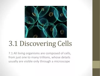 3.1 Discovering Cells