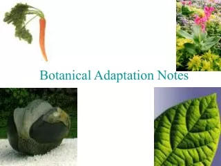 Botanical Adaptation Notes
