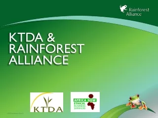 KTDA &amp; Rainforest Alliance