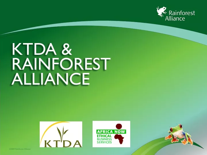 ktda rainforest alliance