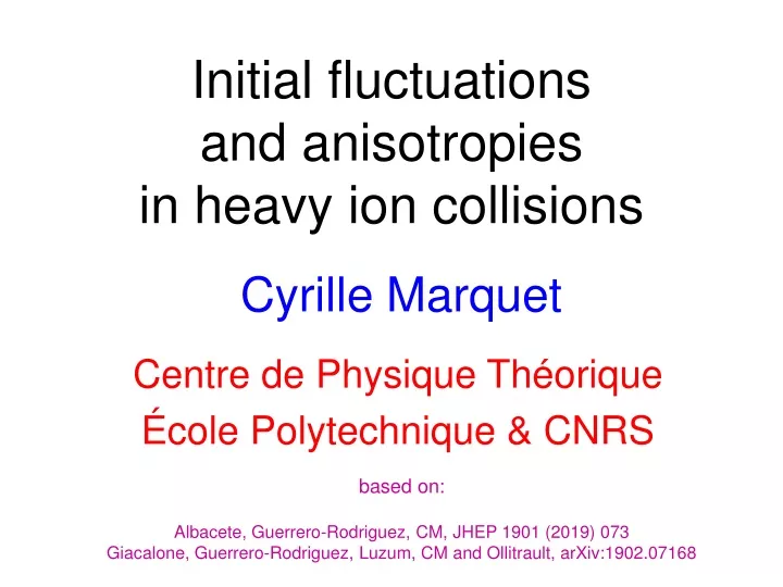 initial fluctuations and anisotropies in heavy ion collisions