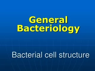 Bacterial cell structure