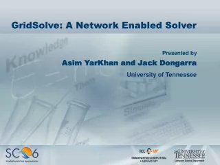 GridSolve: A Network Enabled Solver